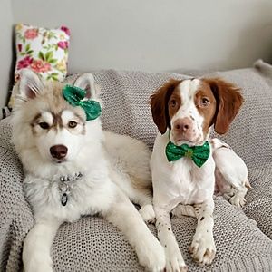 Meet your Posher, Mariah